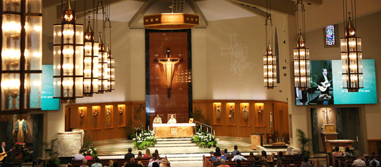 EducationARCHITECT – REJUVENATION