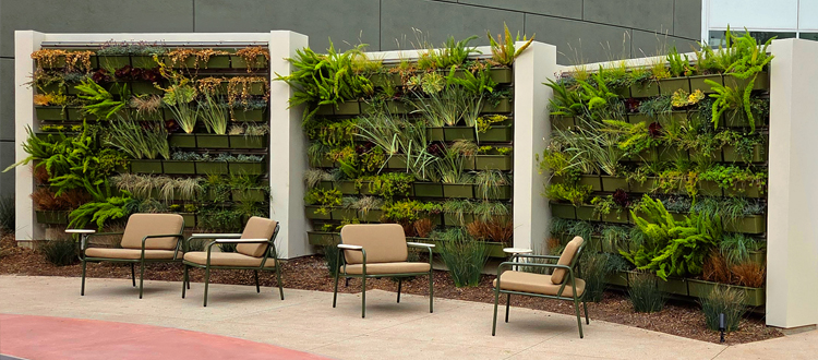 EducationARCHITECT – Fibonacci Sequence?