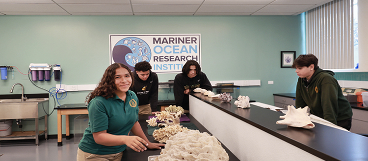 EducationARCHITECT – A Blessing In Disguise