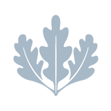 Icon of a Silver LEED Certification