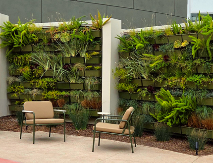 Ground mural and hanging gardens of the Maker Space-Engineering patio at the Collaborative Learning and Innovation Center, a Los Angeles educational architectural project by Pica + Sullivan Architects.